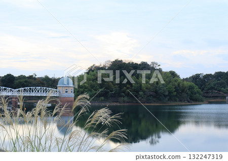 Autumn lake and silver grass Autumn lake and silver grass 132247319