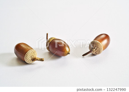 Ripe brown oak fruit (autumn, October), (white background) 132247990