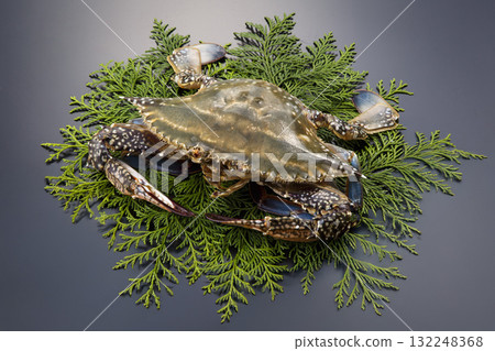 Migrant crab 132248368