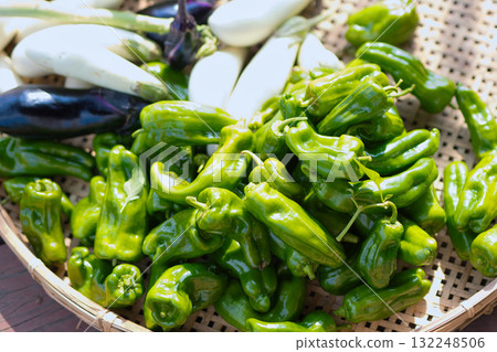 新鮮採摘的夏季蔬菜 新鮮採摘的夏季蔬菜 132248506