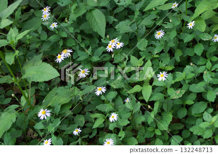 沒有滑稽的 132248713