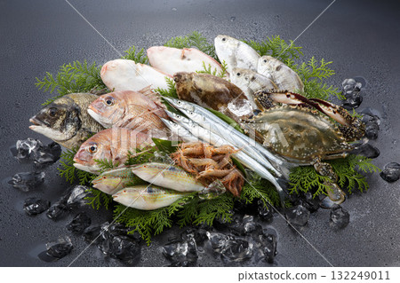 Fresh Setouchi seafood collection image Fresh Setouchi seafood collection image 132249011