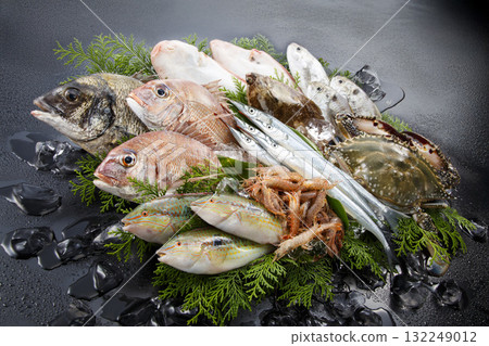 Fresh Setouchi seafood collection image 132249012