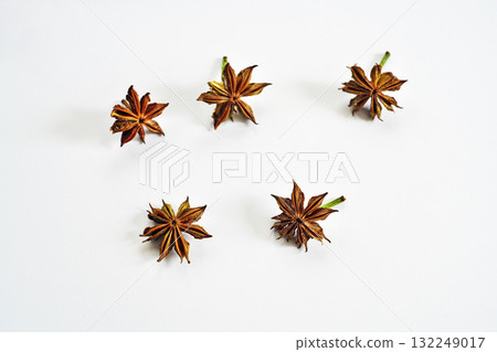 Shikimi seeds that have dried for a day after falling to the ground (autumn, October) 132249017