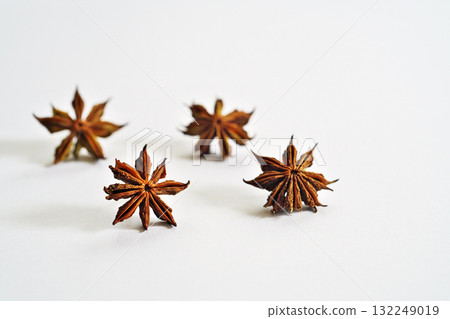 Shikimi seeds that have dried for a day after falling to the ground (autumn, October) 132249019