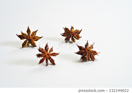Shikimi seeds that have dried for a day after falling to the ground (autumn, October) 132249022