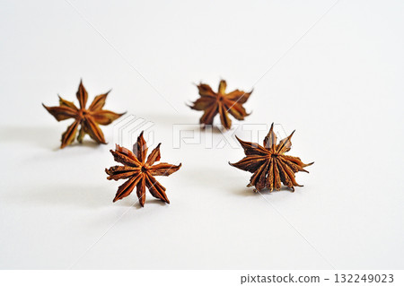 Shikimi seeds that have dried for a day after falling to the ground (autumn, October) 132249023