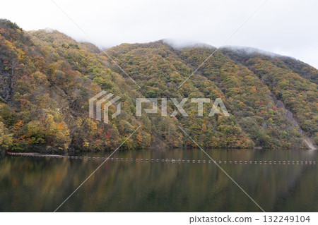 廣瀨水壩湖的秋葉 132249104