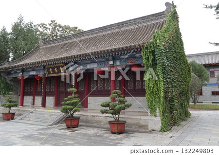 The starting point of the Silk Road: Big Wild Goose Pagoda at Da Ci'en Temple in Xi'an, China 132249803