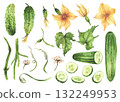 Cucumber plant set hand drawn in watercolor. Whole and sliced vegetables, yellow flower, leaves, tendril and buds on stem. Growth stages for farm packaging, label, gardening. Isolated from background 132249953