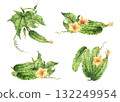 Realistic cucumbers set with yellow flowers, leaves, buds and plant leaves. Watercolor illustration hand drawn Botanical vegetable harvest. Isolated from background for farm market, food label, menu. 132249954