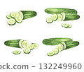 Cucumber set watercolor hand drawn illustration. Whole long green vegetable and sliced in circles cucumber fruit. Clipart for eco market, kitchen menu, food, nature cosmetic label. Isolated background 132249960