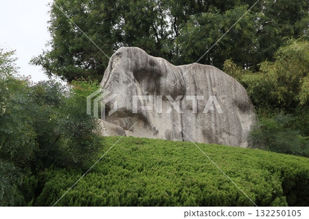 Starting point of the Silk Road: Scenery of the grounds of Qinglong Temple in Xi'an, China 132250105