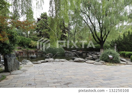 Starting point of the Silk Road: Scenery of the grounds of Qinglong Temple in Xi'an, China 132250108