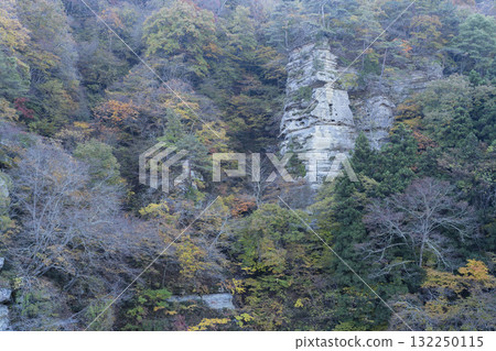 Autumn leaves on a hanging tower Autumn leaves on a hanging tower 132250115