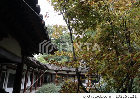 絲路的起點:中國西安青龍寺景區 絲路的起點:中國西安青龍寺景區 132250121