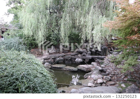 Starting point of the Silk Road: Scenery of the grounds of Qinglong Temple in Xi'an, China 132250123