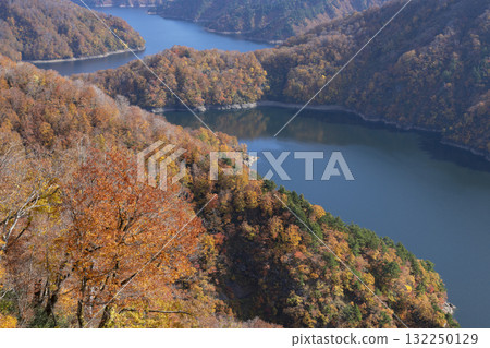Autumn leaves at Tagokura Dam Lake 132250129