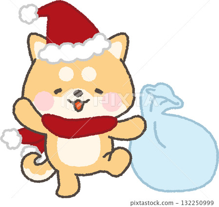 一隻戴著聖誕帽、手裡拿著禮物袋的紅色柴犬 132250999
