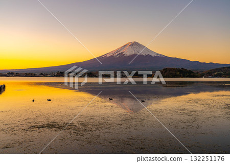 [Mt. Fuji material] Mt. Fuji seen from Lake Kawaguchi on a winter morning [Yamanashi Prefecture] 132251176
