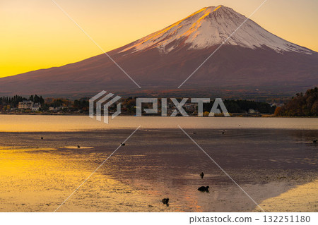 [富士山資料]冬天的早晨從河口湖看到的富士山[山梨縣] 132251180