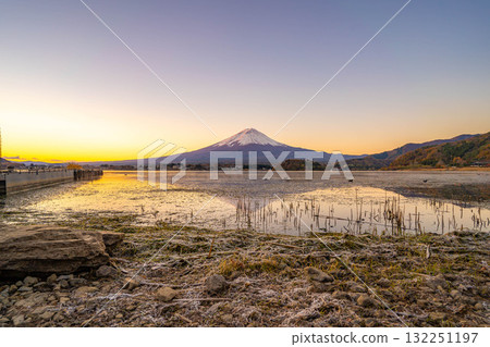 [富士山資料]冬天的早晨從河口湖看到的富士山[山梨縣] 132251197