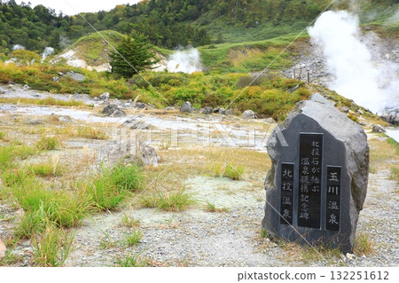 玉川溫泉北石 132251612