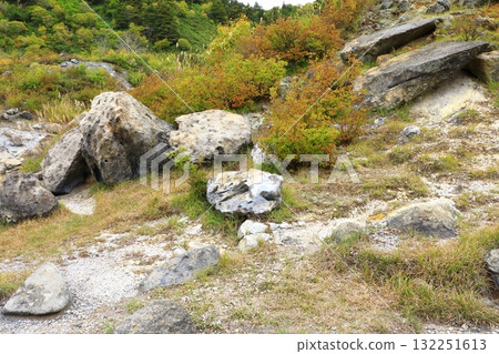 玉川溫泉北石 132251613