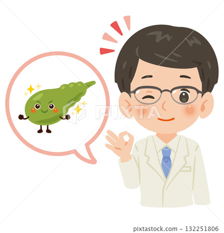 A healthy gallbladder character and a male doctor in a white coat, upper body illustration A healthy gallbladder character and a male doctor in a white coat, upper body illustration 132251806