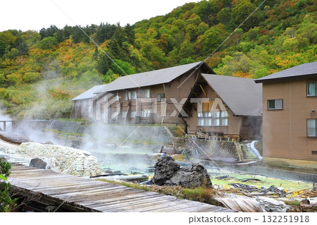 玉川溫泉 132251918