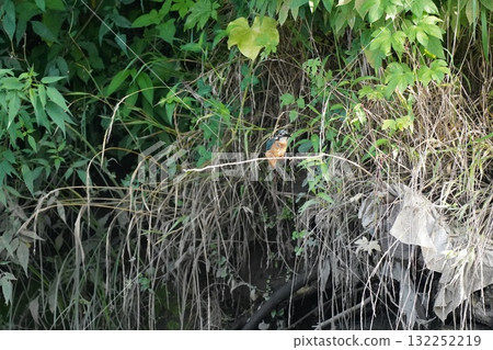 玉等待 玉等待 132252219