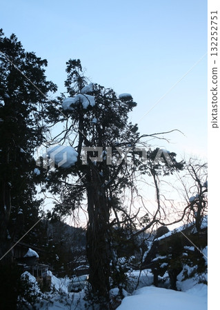winter winter 132252751