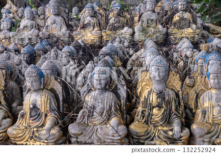 a large collection of weathered Buddha statues and show signs of age and exposure to the elements. 132252924
