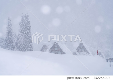 【大雪素材】白川鄉降雪量創歷史新高的雪景【岐阜縣】 132253092