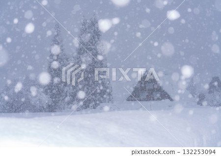 【大雪素材】白川鄉降雪量創歷史新高的雪景【岐阜縣】 132253094