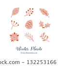 Winter plants set 132253166