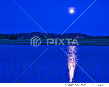 滿月之夜,朦朧的月亮映照在稻田裡 滿月之夜,朦朧的月亮映照在稻田裡 132253209