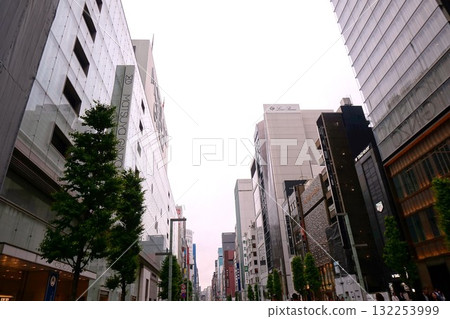 銀座步行天堂 132253999