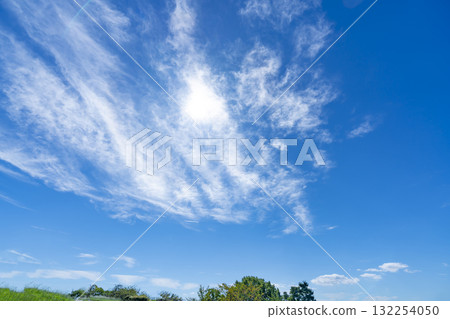 藍天,白雲和樹林 藍天,白雲和樹林 132254050
