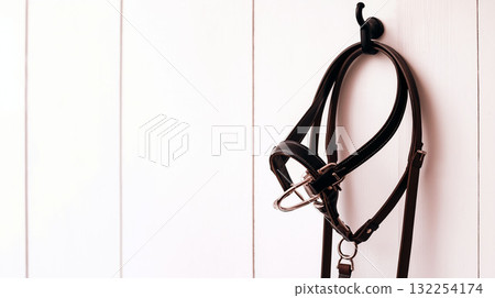 Leather horse bridle hanging on a black hook against a light wooden wall background 132254174