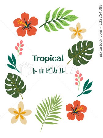 Tropical plant materials such as hibiscus, monstera, and plumeria Tropical plant materials such as hibiscus, monstera, and plumeria 132254389