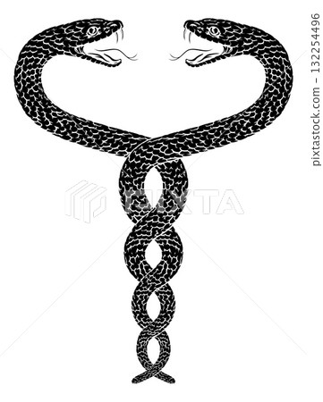 Snakes Two Intertwined Helix Vintage Illustration 132254496