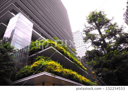 Ginza skyscrapers 132254533