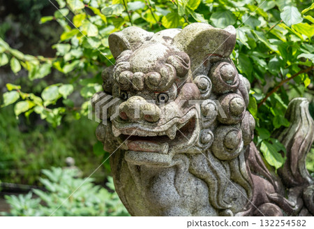 Komainu statue at Sasuke Inari-jinja temple in Kamakura, Japan 132254582