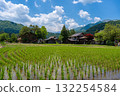 Traditional rice fields and gassho houses in Shirakawa-go village, Japan 132254584