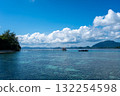 Wooden jetty and boat at Bolilanga Island, Togian archipelago, Sulawesi, Indonesia 132254598