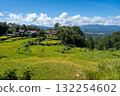 Traditional village surrounded by rice fields in Toraja, Sulawesi, Indonesia 132254602