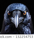 Raven head close portrait with vivid glowing orange eyes 132254753