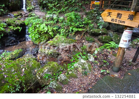 Kurosan Mitsutaki Tengu瀑布 132254881