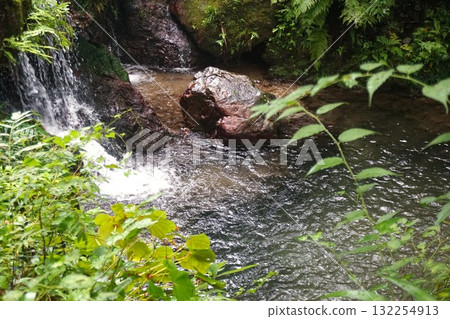 Kurosan Misaki 132254913